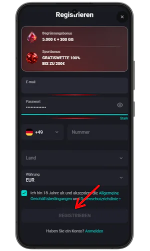 Geben Sie Ihre E-Mail-Adresse und Ihr Passwort ein Rooster bet